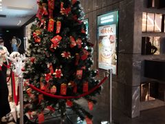 -武商摩尔影城(国广IMAX激光店)
