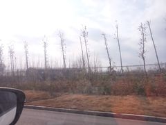 -马五烧麦(新华·南桥苑店)