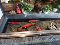 -0776食堂·京城创意菜(七里庄店)