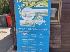-盐城丹顶鹤湿地生态旅游区