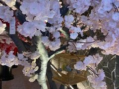 -蓝鲸湾汤泉(包河店)