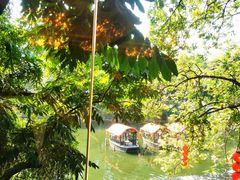 -侨美·唐荔园·40年地道粤菜