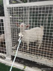 -可可天空农场(中大店)