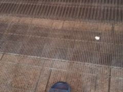 -奥龙堡游泳馆(广纸店)