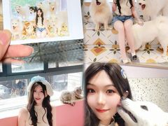 -毛绒耶耶撸宠馆·猫咖·狗咖·荷兰猪咖