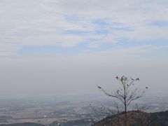 -冶父山国家森林公园