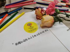 -杨梅红艺术教育(凤城教学中心)
