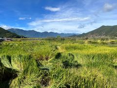 -泸沽湖国家级风景名胜区走婚桥