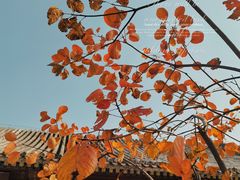-香山公园