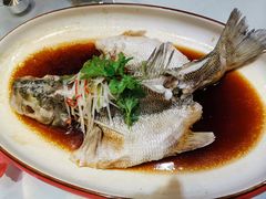 清蒸鲈鱼-北平盛世·新京菜·北京烤鸭(劲松·双井店)