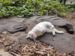 -苏州河梦清园环保主题公园