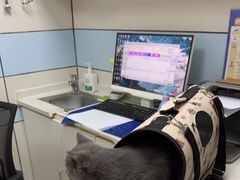 -中农国际动物医院24小时·猫科·骨科·急重症中心