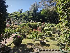 -三亚蜈支洲岛旅游区