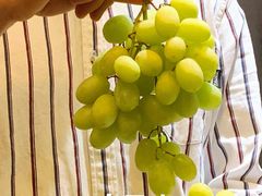 -方腻·3平方柠檬茶