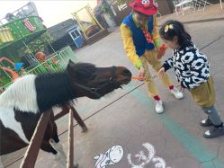 -宝燕乐园(闵行旗舰店)