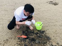 -刘家湾赶海园
