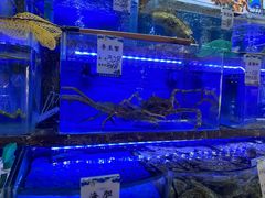 -河马鲜生海鲜超市(风荷园店)