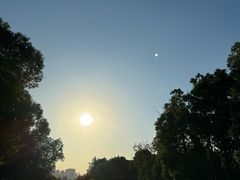 -洋湖国家湿地公园