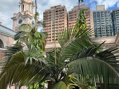 -香港大学