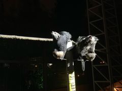 -清迈夜间动物园