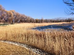 -野鸭湖国家湿地公园