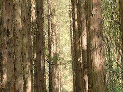 -同里国家湿地公园