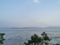 -深圳湾公园(南山区)