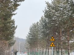 -长春莲花山滑雪场