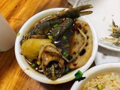 -邱氏胖泥鳅(大堰店)