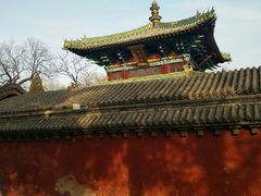 -嵩山少林文化旅游景区