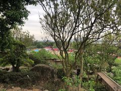 -秀丽东方