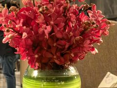 -新加坡瑞士史丹福酒店