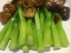 -晋阳饭庄(虎坊桥店)