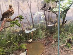 -郴州特产舜华临武鸭(郴州西站店)