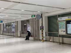 -望京西(地铁站)