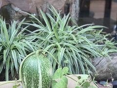 -大理床单厂艺术区