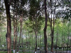 -重庆中央公园(渝北区)