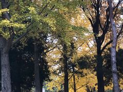 -元大都城垣遗址公园