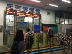 -天河体育中心游泳馆