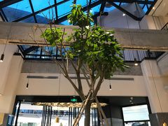 -大树餐厅(红旗街万达店)