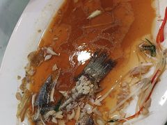 -清真马祥兴菜馆(云南北路店)