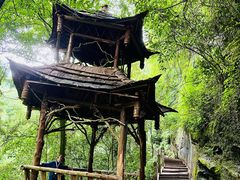 -青城山