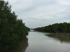 -崖口红树林海鲜餐厅