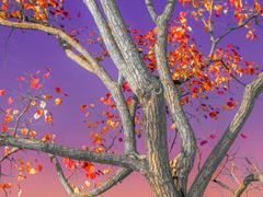 -鸿姐老火锅(静安店)