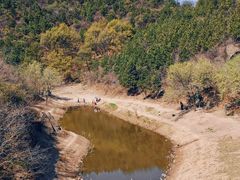 -北京西山国家森林公园
