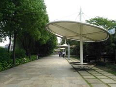 -新江湾城公园