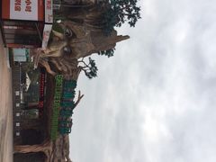 -美的鹭湖探索王国