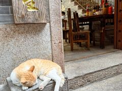 -吴财记面家(大同路店)