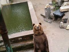 -保定市动物园