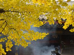 -红螺寺